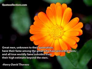 Henry David Thoreau Quotes 3